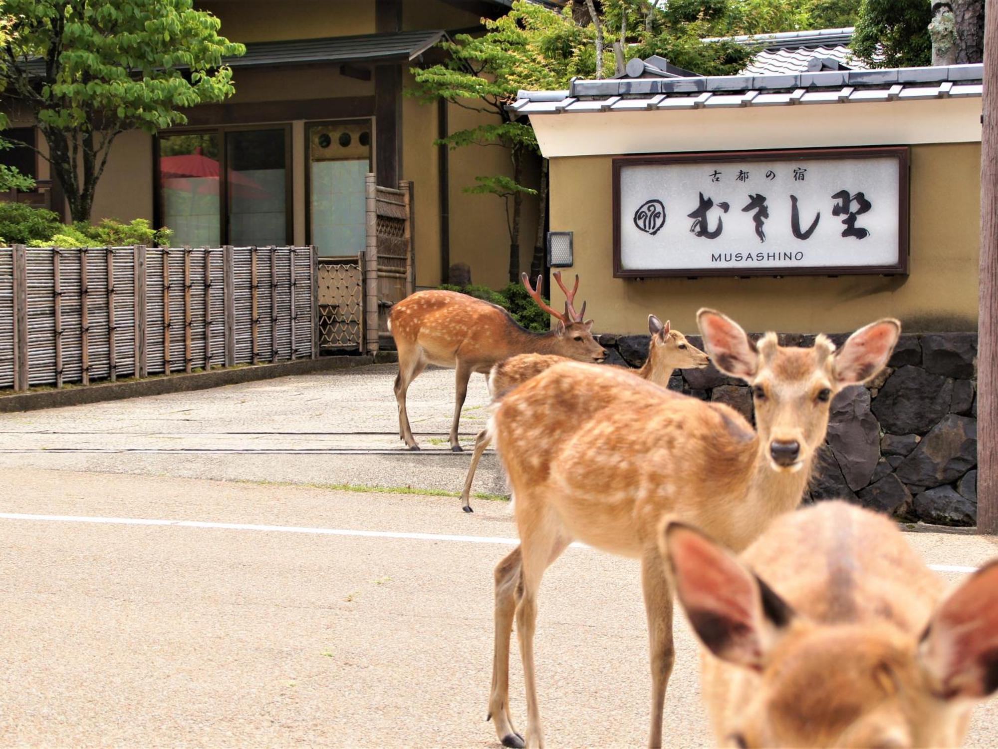Kotonoyado Musashino Nara Extérieur photo