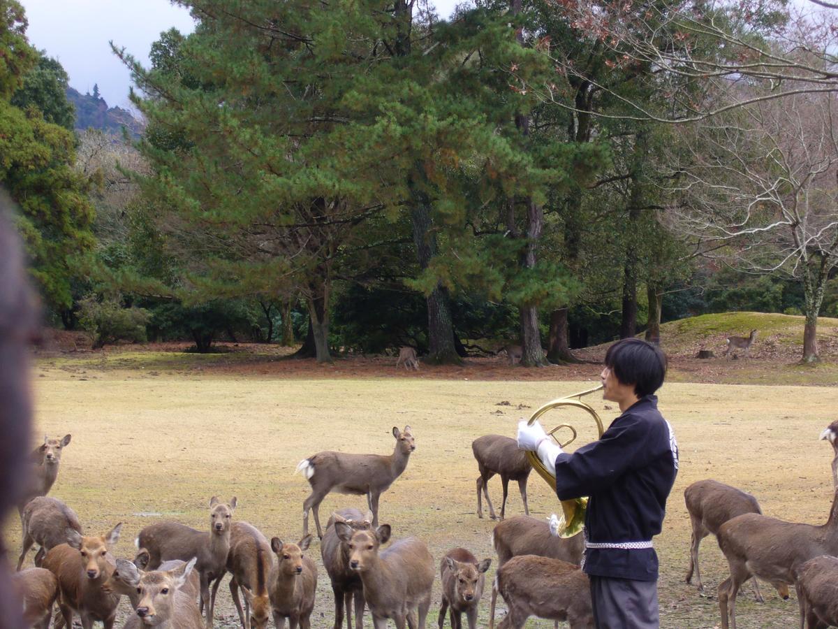 Kotonoyado Musashino Nara Extérieur photo